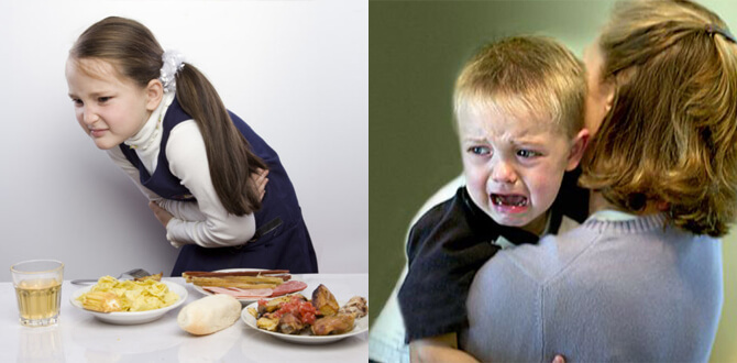 Пищевое отравление, стресс у ребенка