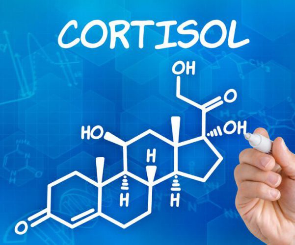 Когда нужен анализ кортизола в суточной моче